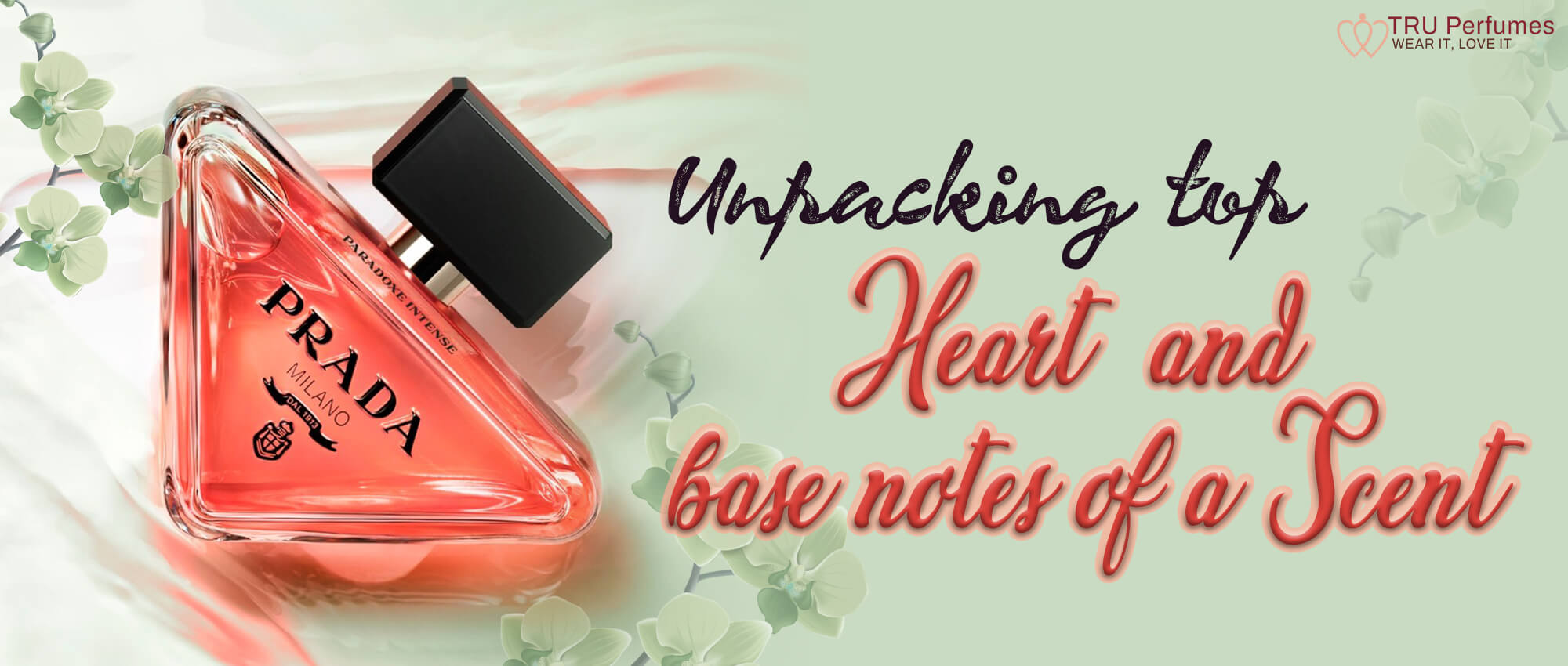 BASE-NOTES-OF-A-SCENT