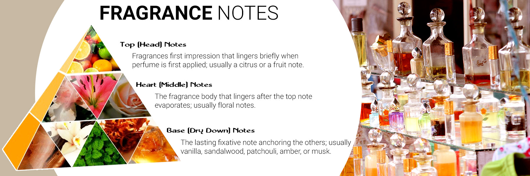 What are Fragrance Notes?