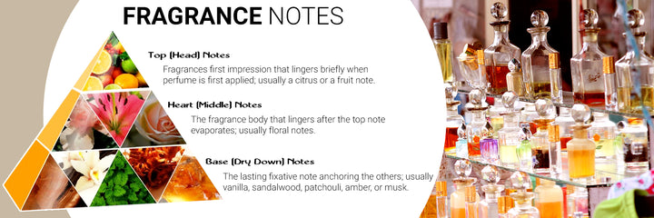 What are Fragrance Notes?