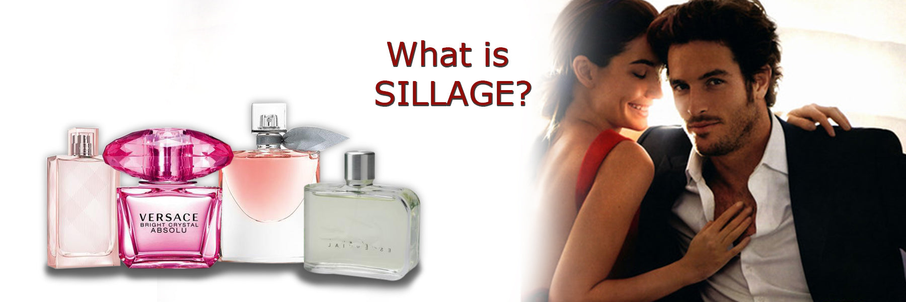 Perfume Word wall: SILLAGE