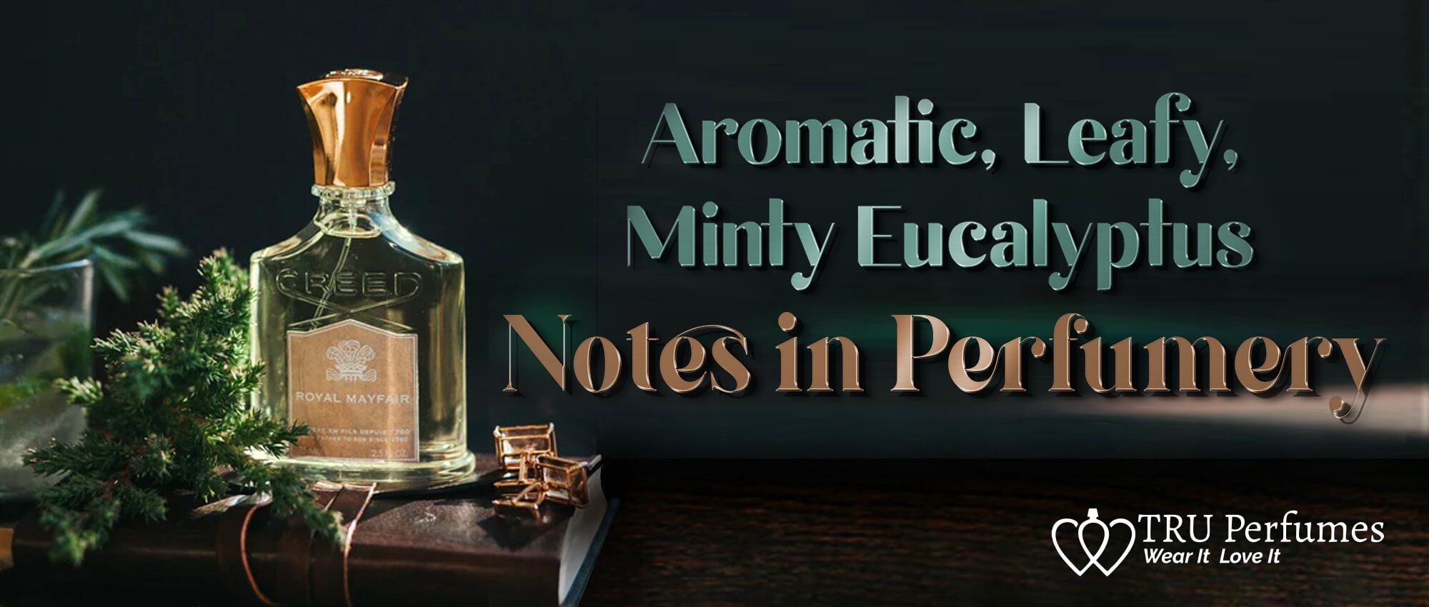 perfumes-for-boyfriend